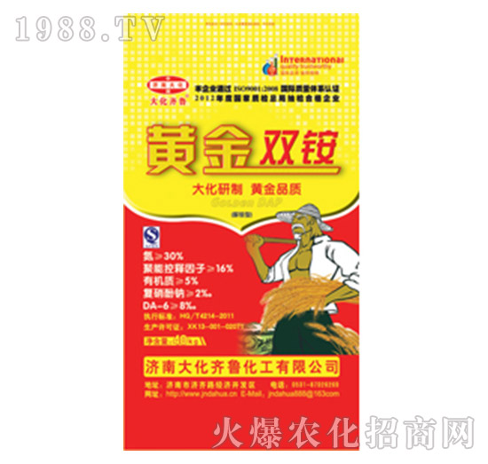 �S���p�@-���R��