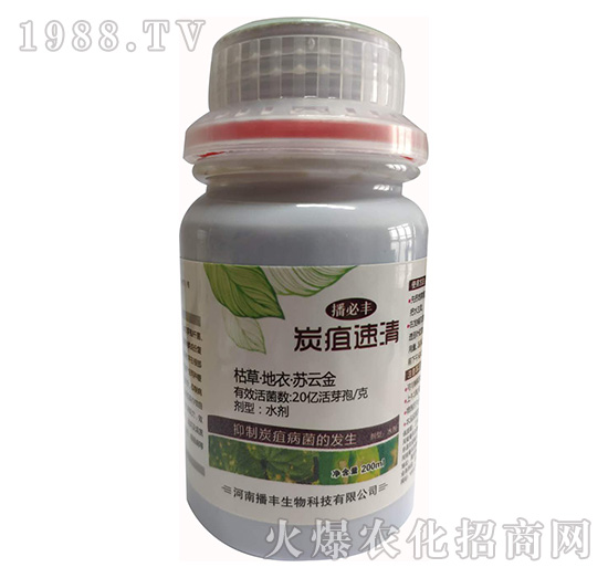 �ݲݡ����¡��K�ƽ�-̿������-���S����