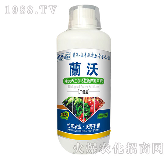 1000gȫ�I�B(y��ng)����������w�־���-�m���r(n��ng)�I(y��)