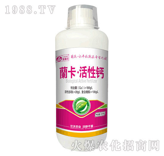 1000g�_���������}-�m���r(n��ng)�I(y��)