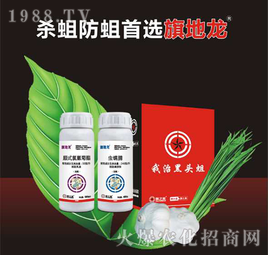 10%현�(sh��)�������+240��ÿ���x(ch��ng)����-�����-��֮��