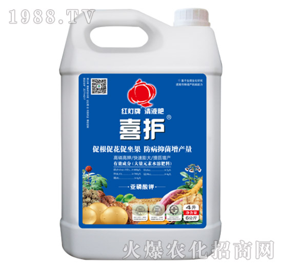 ϲ�o(h��)-��(l��)����