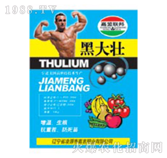 �ڴ��-�μ�