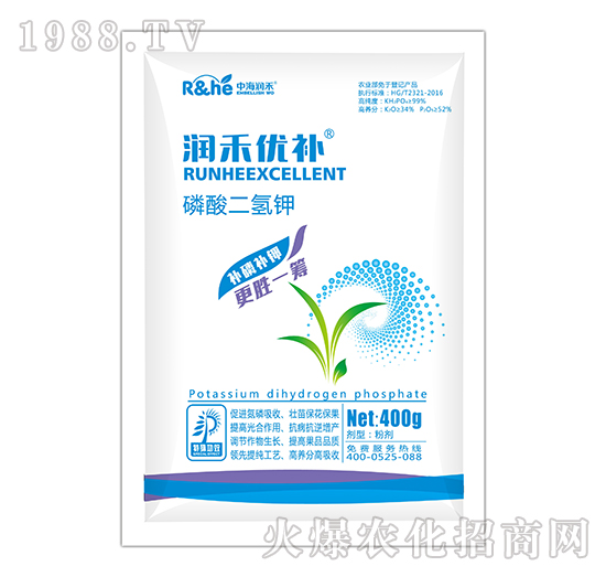 ��������-���̃�(y��u)�a-�к�����