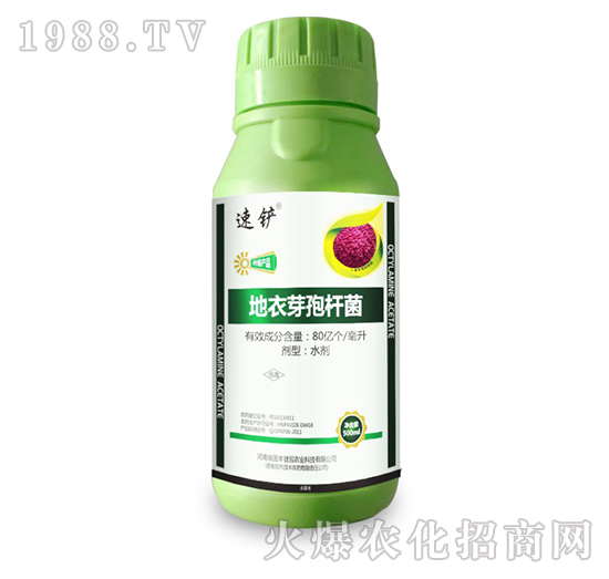 地衣芽孢桿菌-速鏟-國豐健園