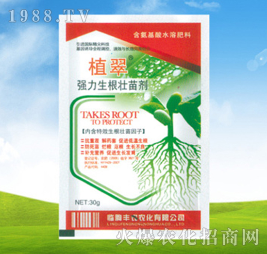 ��(qi��ng)���������焩-ֲ��-�S�r(n��ng)�r(n��ng)��