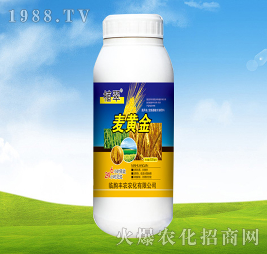 ���S��-ֲ��-�S�r�r��