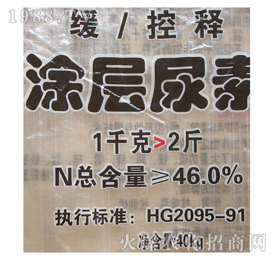 �����ͿĤ����-��ʥ��