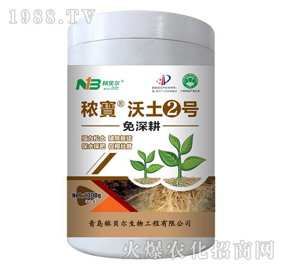 �������������2̖(h��o)-��ؐ��