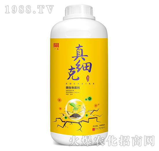 ΢�������-�漚(x��)��-һ�t����