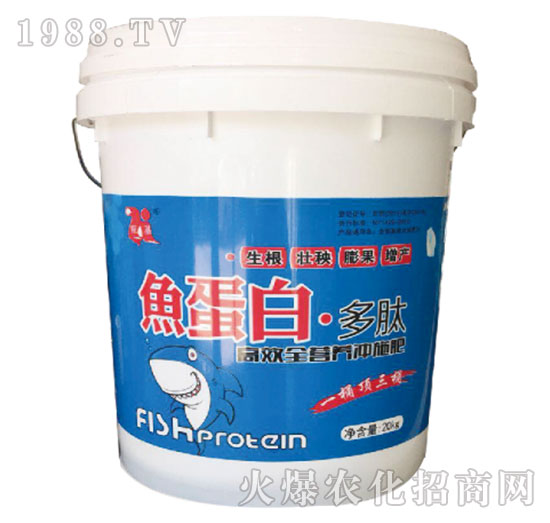 �~���ס�����-��������