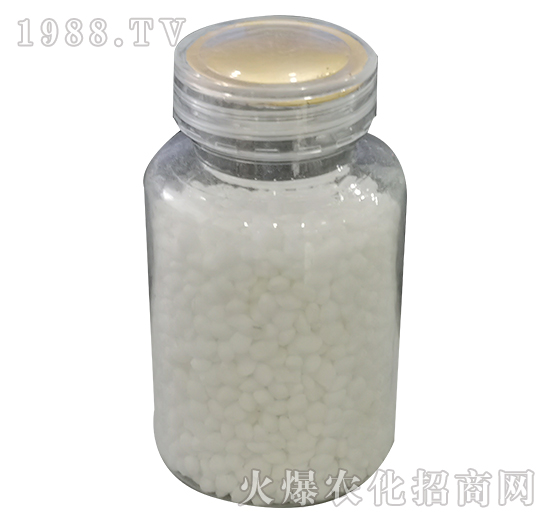 �w����-���P����