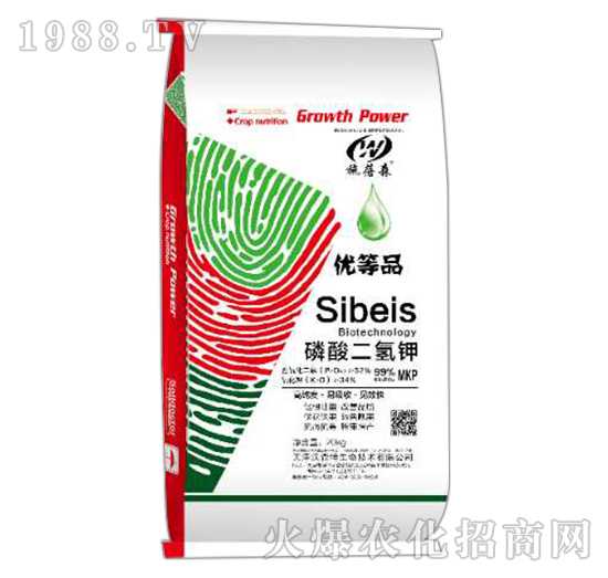 ��������-ʩ��ɭ-��ɭ��