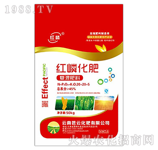 ��(f��)�����20-20-5-�t��-���ƻ���