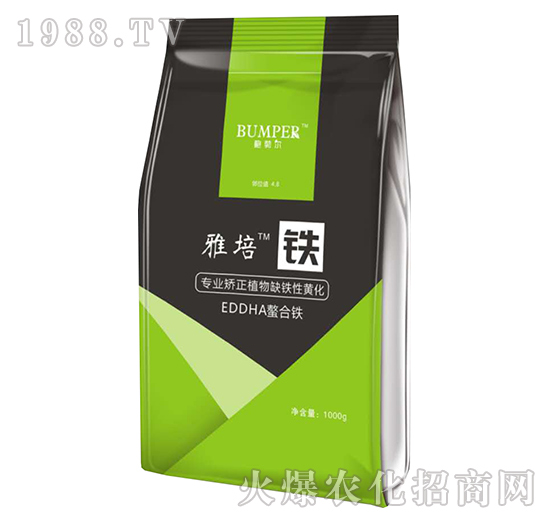 �����F-���S