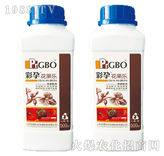 ���������_ʩ��΢�������-������-����-������A