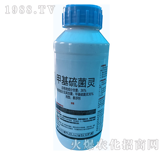 36%�׻�����`-�\(y��n)ʢ����