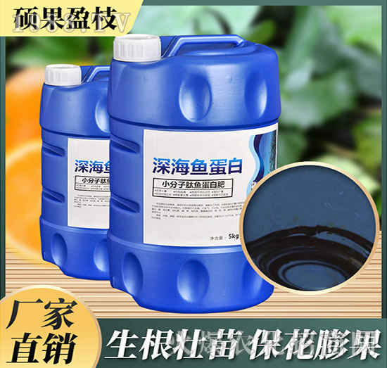 С�������~���׷�-��~����-�T��ӯ֦