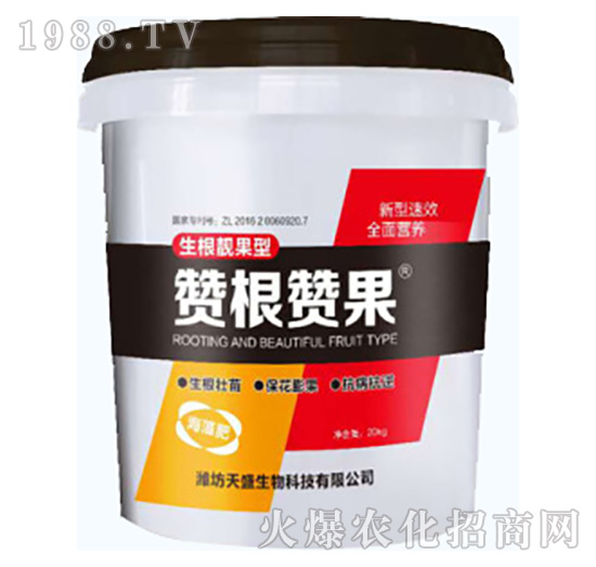 ���������-ٝ��ٝ��-��ʢ����