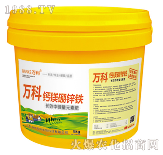 �}�V���\�F-�f(w��n)��