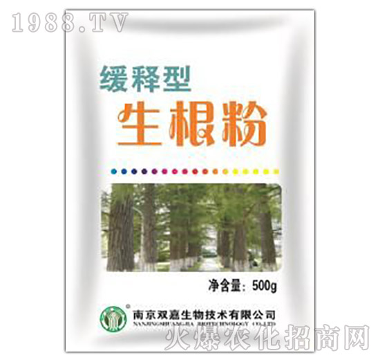 �����������-�p������