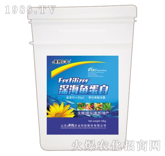 ��~����-Ӣ��