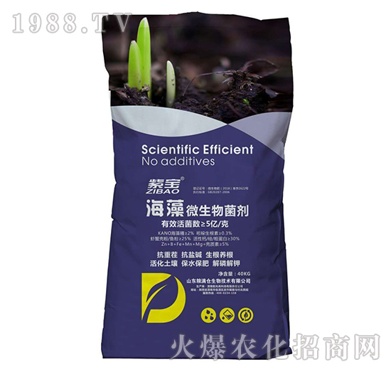 5�|����΢�������-�ό�-�Z�M�}(c��ng)