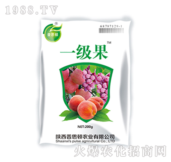 һ����-����-��˼�D�r�I(y��)