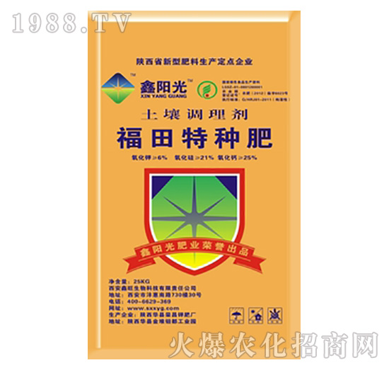 �����{�턩-�����طN��-��ꖹ�-�s��