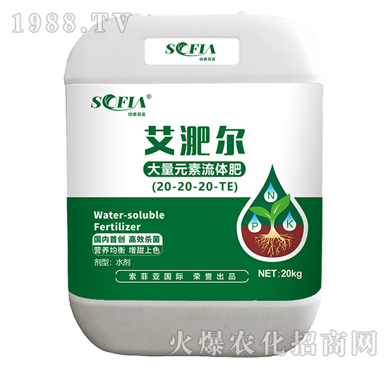 ����Ԫ�����w��20-20+20-TE-���Ǡ�-���Ɓ�