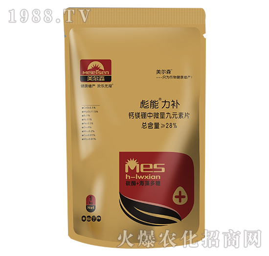 �}�V����΢����Ԫ��Ƭ-�������a-����ɭ