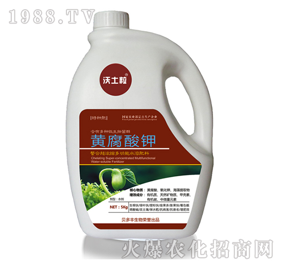 �S�����-ؐ���S