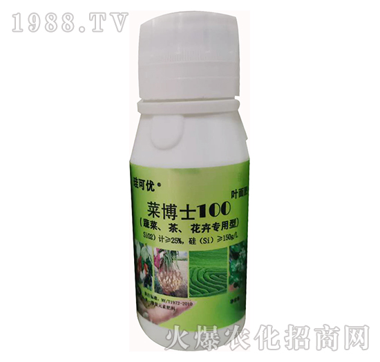 �˲�ʿ100���߲����������܌��ã�-���Ƀ�(y��u)-��Ɔ���