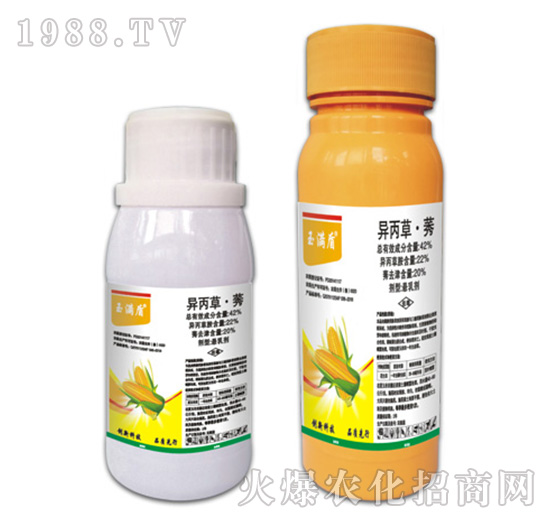 42%�����ݡ�ݬ-��M(m��n)��-�ݵ�˹