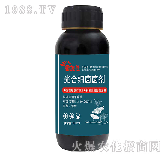 ��ϼ�(x��)������-˪ʩ��-����