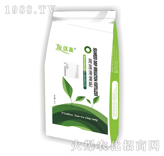 ����ι��-�S������