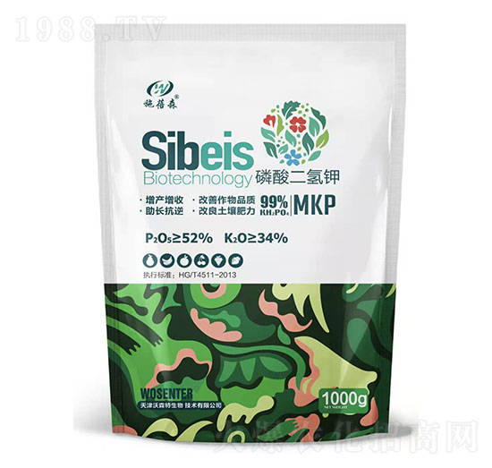 ��������-��ɭ��