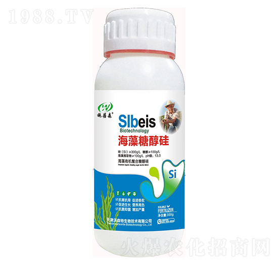 �����Ǵ���-ʩ��ɭ-��ɭ��