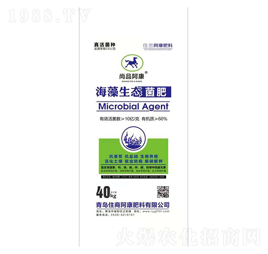 �������B(t��i)����-ס��