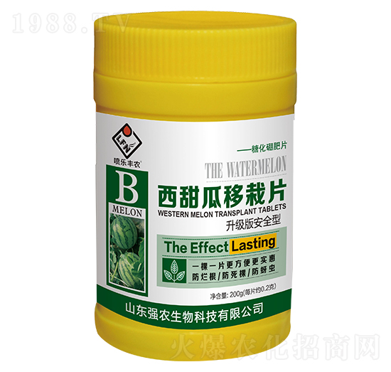 ���������Ƭ-���r(n��ng)����