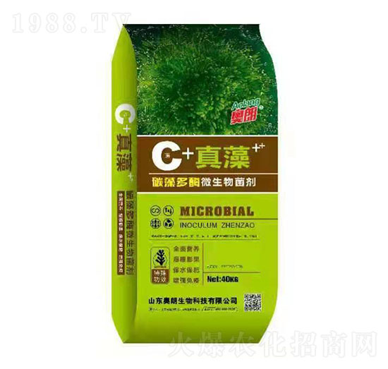 ̼���ø΢�������-����-�W������