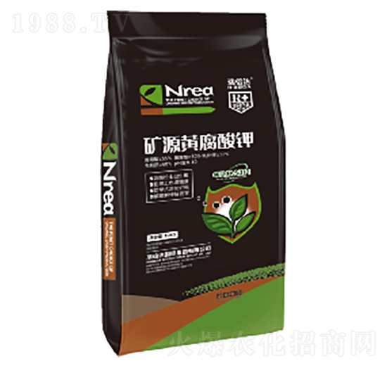 10kg�VԴ�S�����-���_