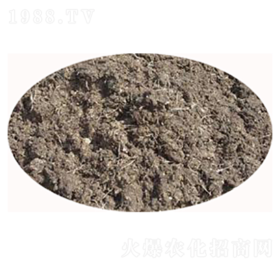 �l(f��)�͸��u�S-���S����