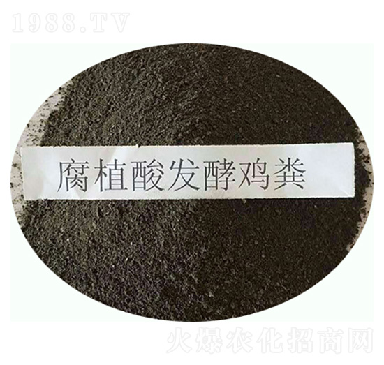 �l(f��)���u�S-���|�ʘI(y��)