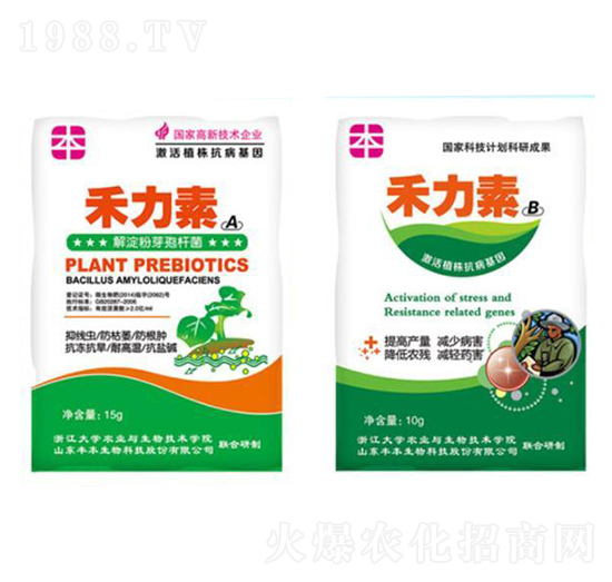 �߲˹��(l��i)�־��x(ch��ng)����-�S������