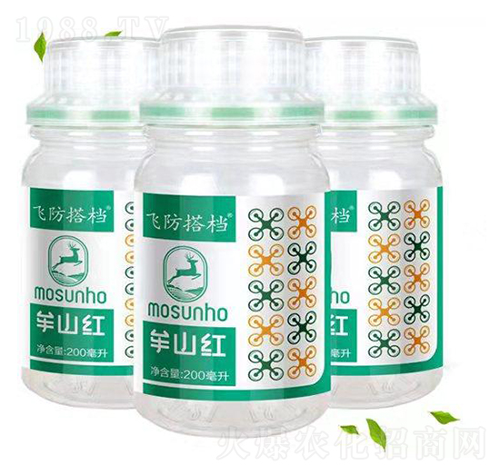 �w����n-���p��