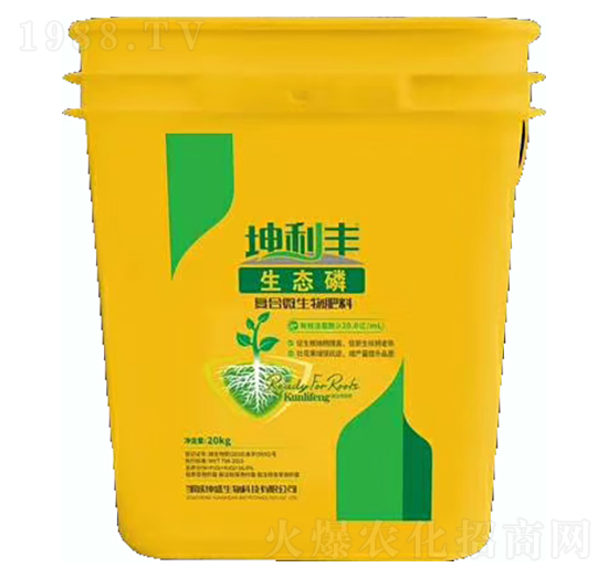 ���B(t��i)�׏�(f��)��΢�������-�����S-��ʢ����