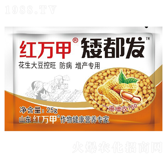 �����l(f��)-�󶹌���-�t�f��