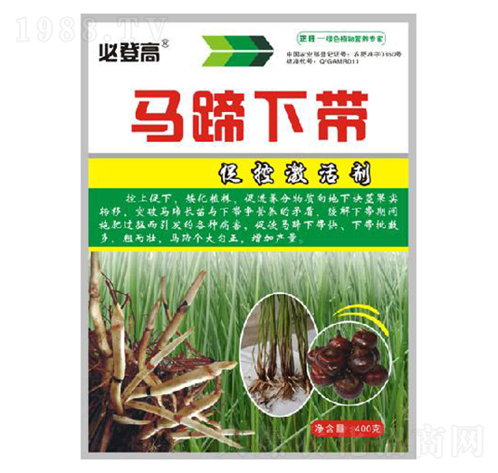 �R�������Ԅ�-�����r(n��ng)��