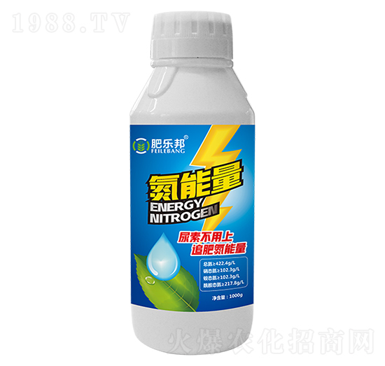 �ʘ������-�׶���